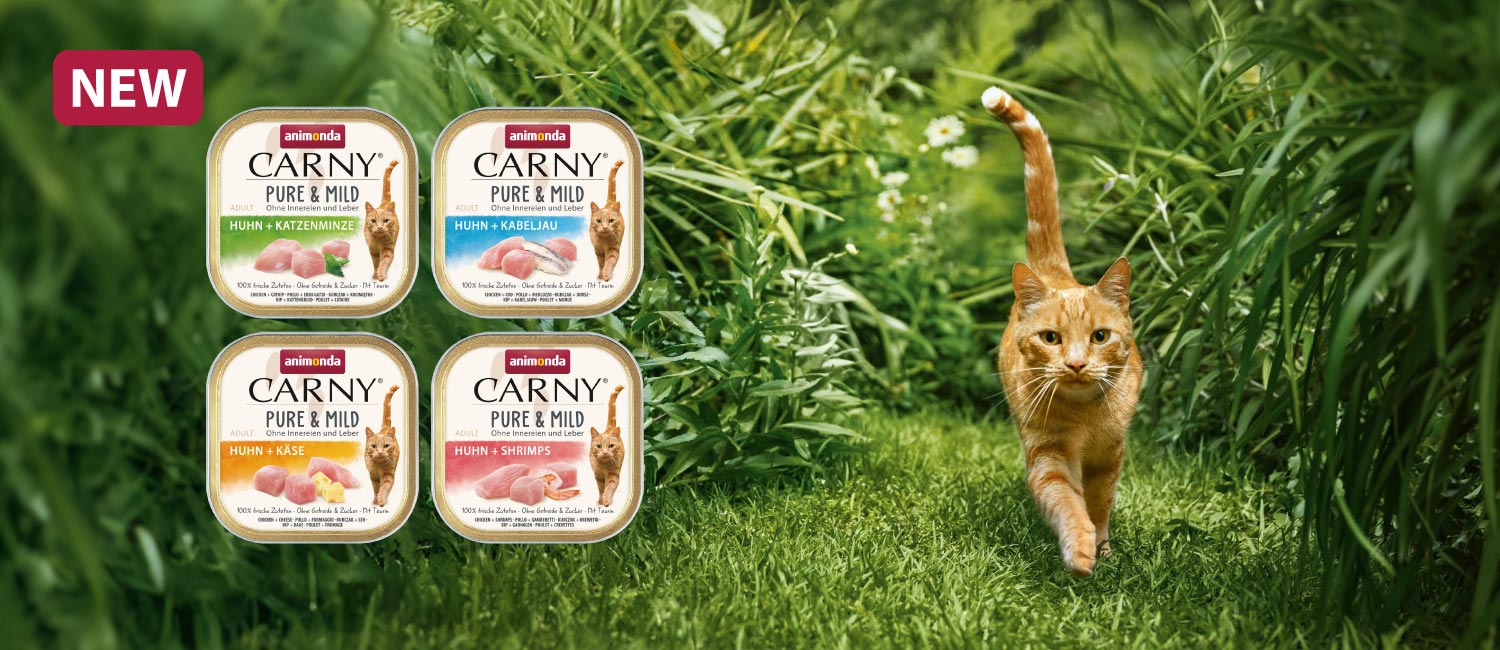 マイルドで上品な味わい。味に繊細な猫へ。カーニー ピュア&マイルド新登場