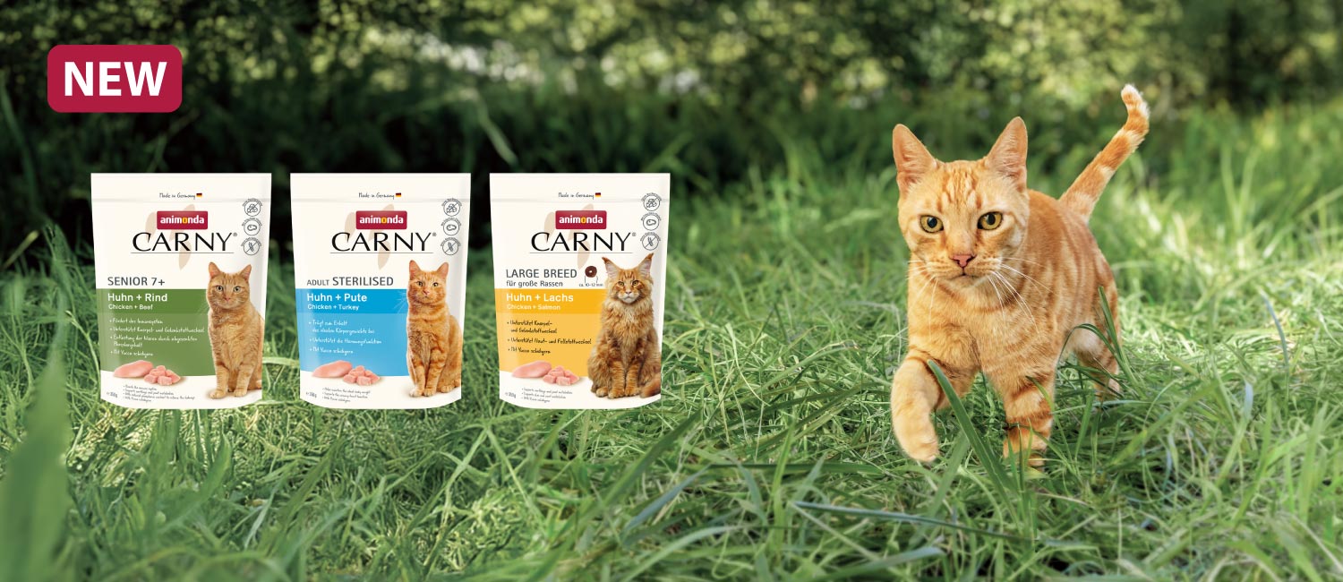 猫用カーニードライ 待望のシニア猫用、避妊去勢猫用、大型猫用が新登場！