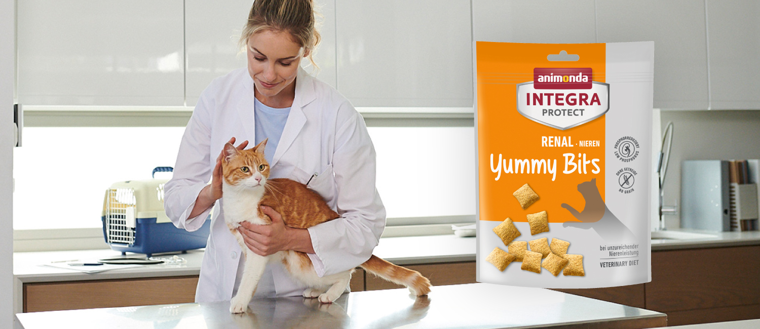 腎不全などの猫に向けた療法食おやつ：インテグラプロテクト 腎臓ケア ヤミービッツ